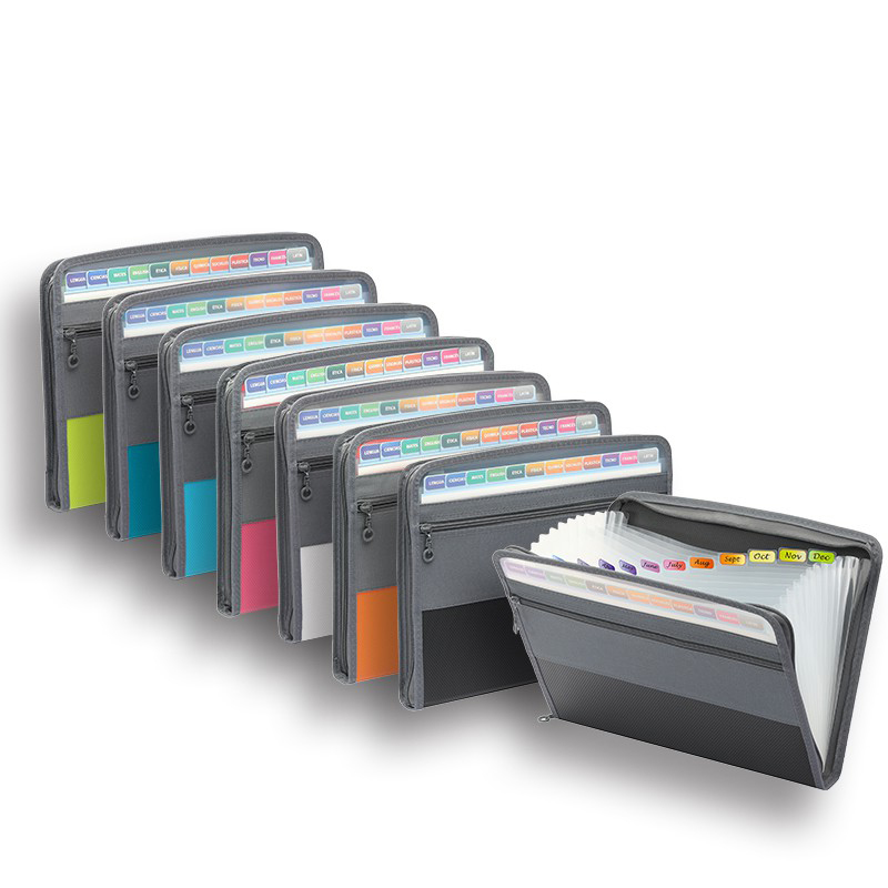 Organizzatore di file per fisa - Expandable Accordion File Folder 13 Pockets recensione e prezzo