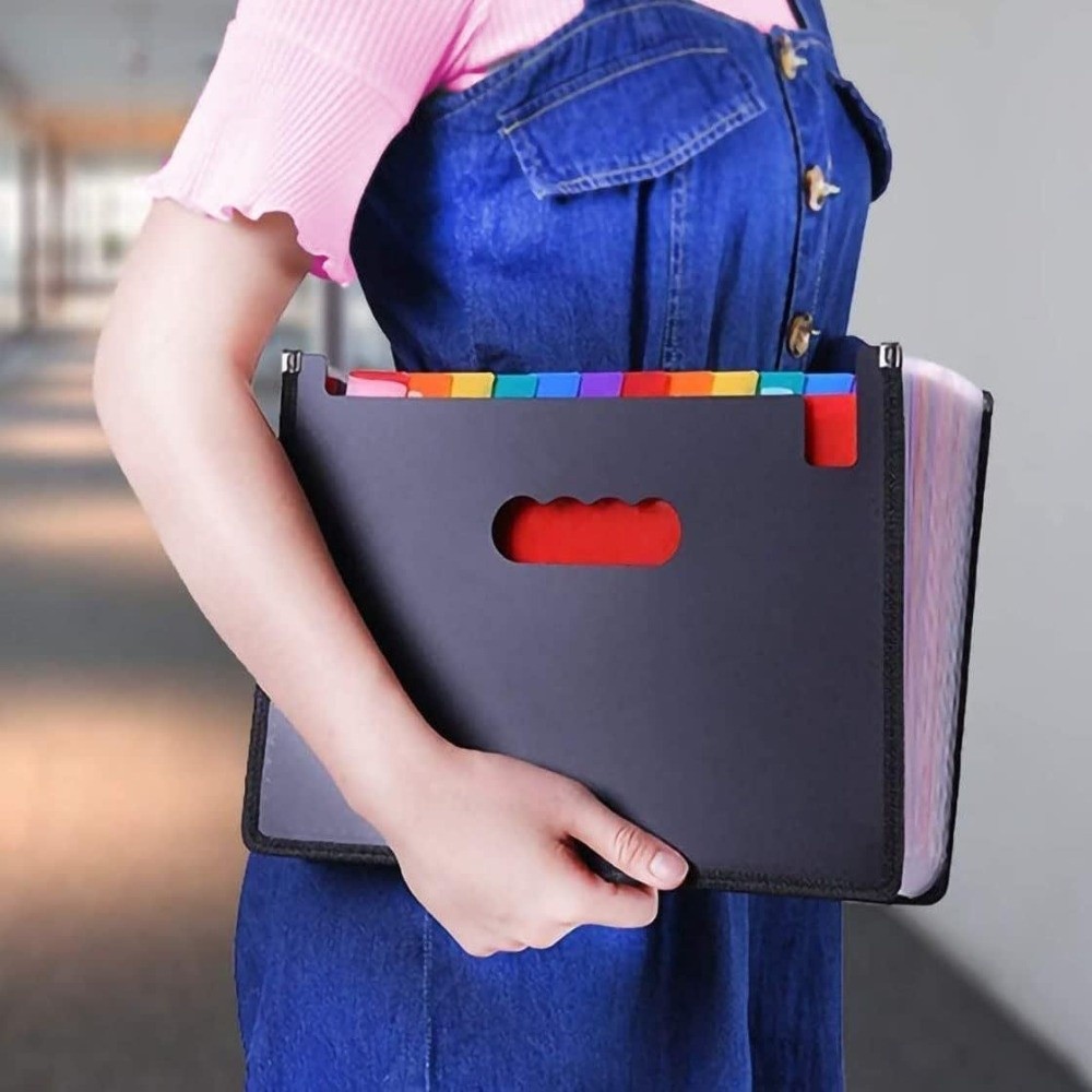 Scatola Portadocumenti Espandi - Expandable Accordion File Folder 13 Pockets recensione e prezzo